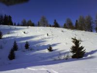 DSC01181.JPG