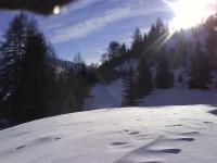 DSC01246.JPG