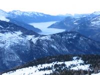 IMG_3975.JPG