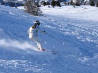 IMG_4007.JPG