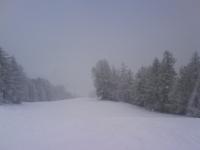 DSC02489.JPG