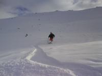 DSC02508.JPG