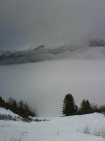 DSC02533.JPG