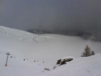 DSC02537.JPG