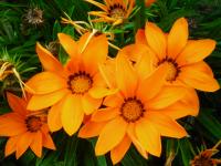 DSCN1264.JPG